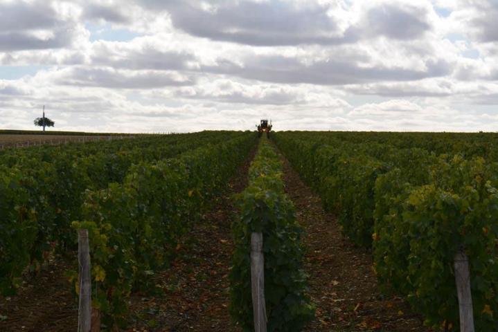  Découverte du vignoble Nièvre