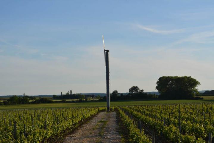 Découverte du vignoble Nièvre