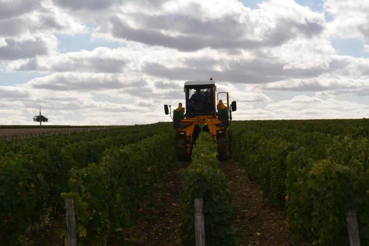 Producteur vin en fût de chêne Nièvre