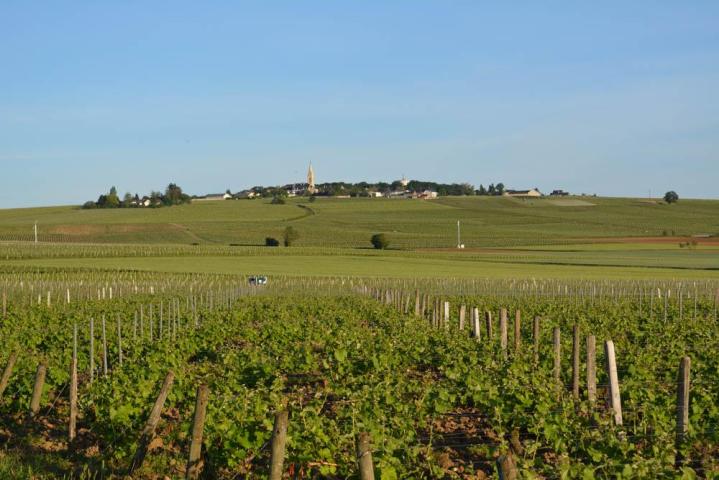Domaine viticole Pouilly-Fumé Nièvre