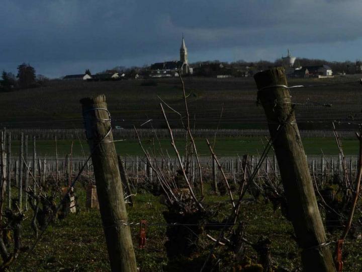 Visite de vignoble Nièvre