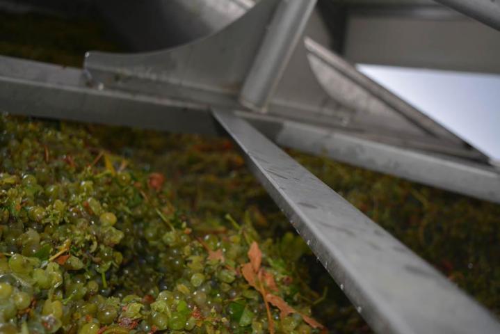 Fournisseur de vin Pouilly-Fumé Nièvre