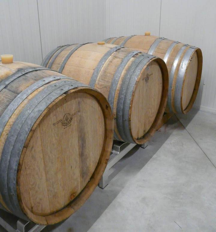 Production de vin élevé en fût de chêne Nièvre