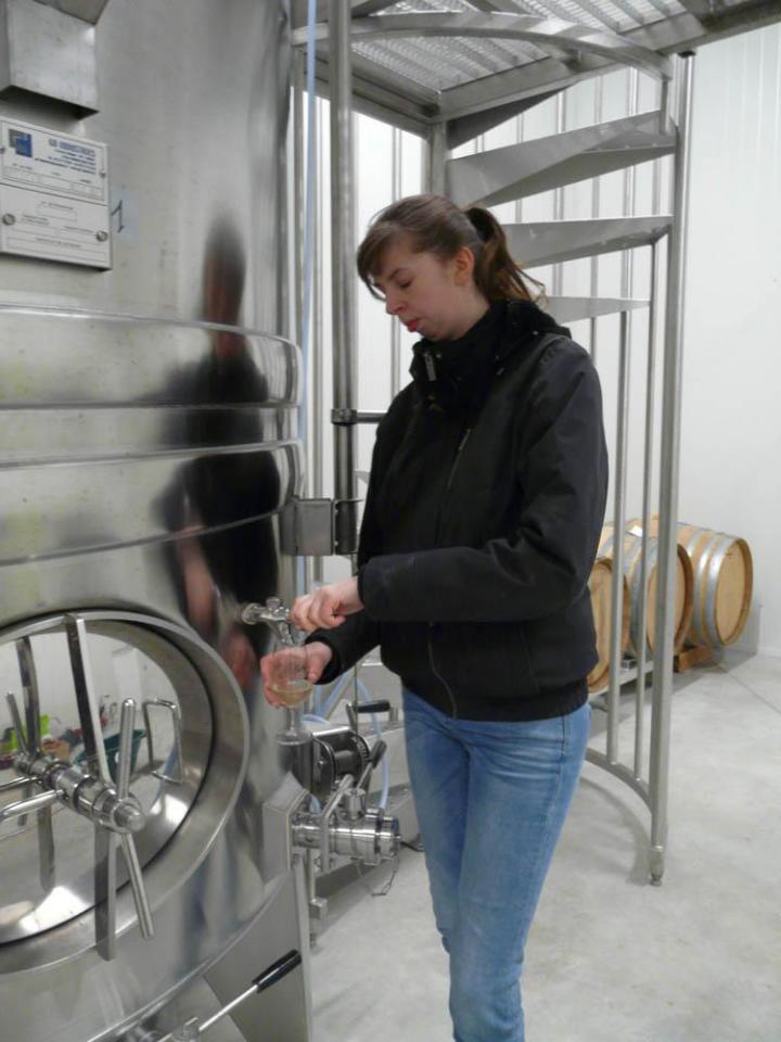 Fournisseur de vin Pouilly-Fumé Nièvre