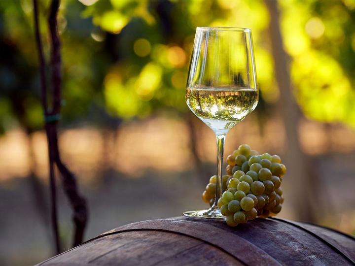 Vente de vin Pouilly-Fumé Nièvre