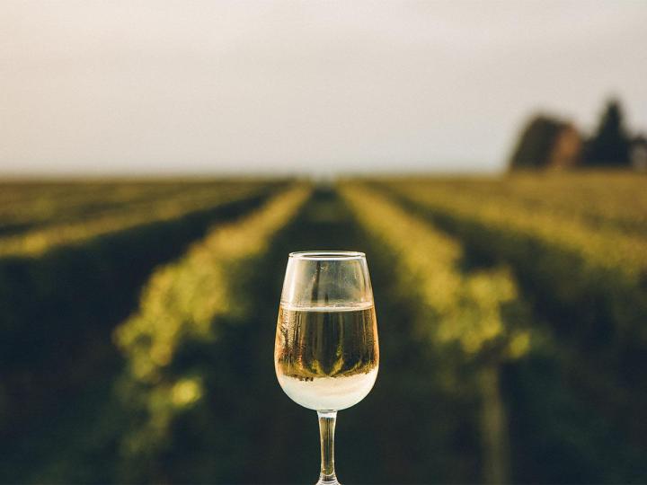 Fournisseur de vin Pouilly-Fumé Nièvre